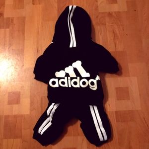 Doggie Tracksuit 🐕💨